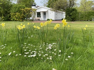 Bungalow Oostkapelle Registrazione all'aperto 3