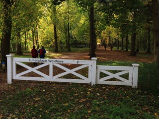 Bungalow Oostkapelle Ambiente 28
