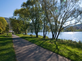 Radweg bei Zell-Merl