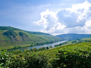 Ferienwohnung mit Moselpanorama