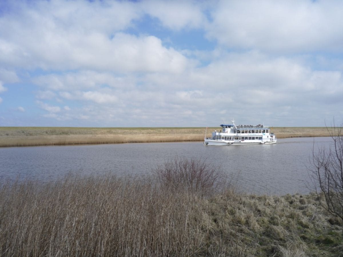 Ausflugsboot zur Schleue Leybucht