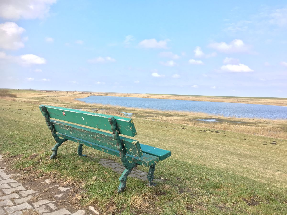 gemütliches Verweilen mit Blick  auf den Badesee