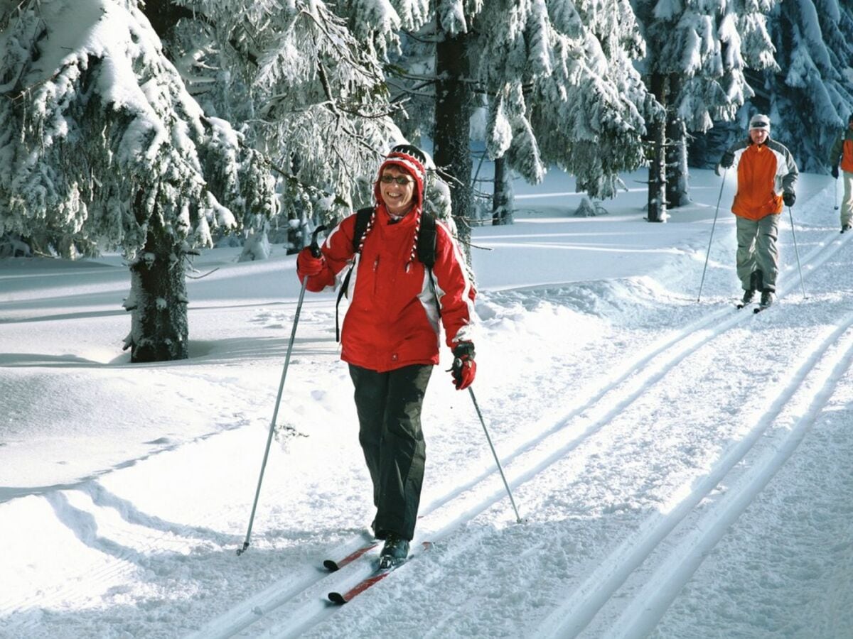 Langlauf am Rennsteig