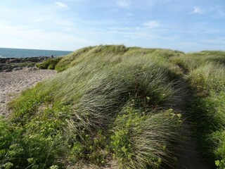 Casa de vacaciones Le Vast Entorno 25