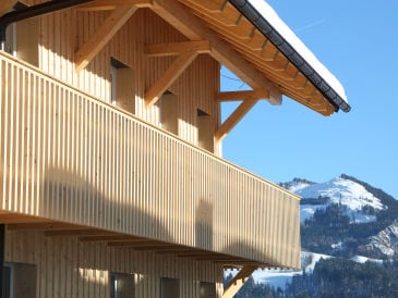 Apartment Alpine Tauplitz 4B
