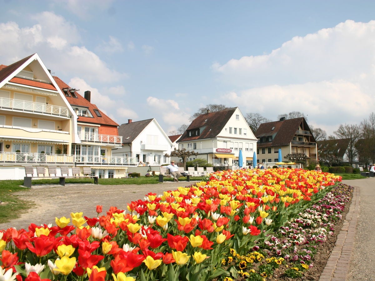 wunderschön Frühling am Bodensee