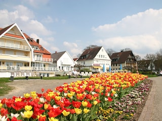wunderschön Frühling am Bodensee