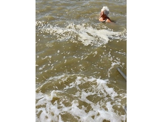 Erfrischendes Bad in der Nordsee