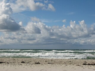 Wilde Ostsee