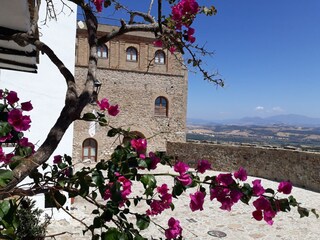 Apartamento Manilva Entorno 31