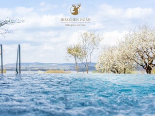 Infinity Pool 27 Meter lang