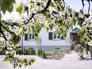Ferienhaus Nina - Hotel Gasthaus Hirschen Bodensee