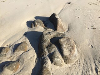 Appartamento per vacanze Saint-Pierre-Quiberon Ambiente 33