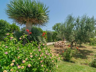 Villa Pollensa Grabación al aire libre 15