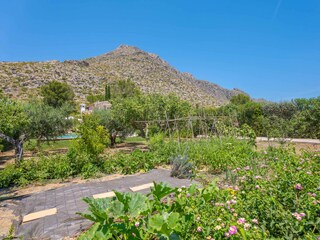 Villa Pollensa  35