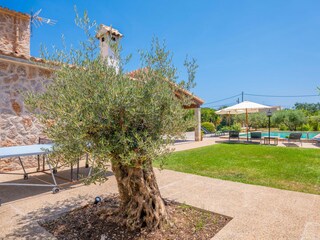 Villa Pollensa  37