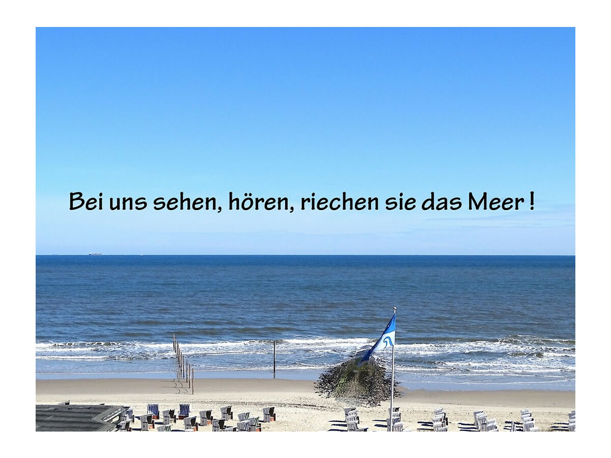 Sehen, hören  und riechen sie das Meer