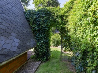 Vakantiehuis Neubukow Buitenaudio-opname 9