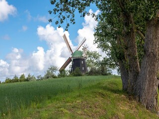 Appartement Teßmannsdorf Omgeving 37