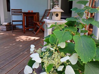 Apartment Wismar Outdoor Recording 6