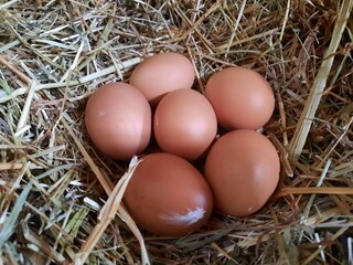 Vakantieappartement Völs am Schlern Buitenaudio-opname 12