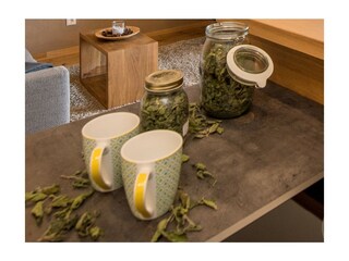 Appartamento per vacanze Völs am Schlern Caratteristiche 34