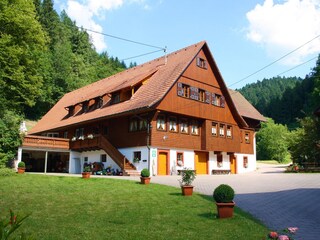 Holiday apartment Schiltach Outdoor Recording 3