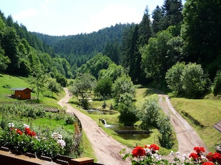 Holiday apartment Schiltach Outdoor Recording 5