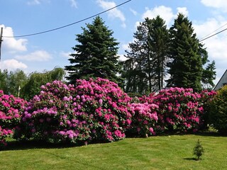 Gartenblick