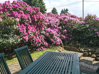 Ruhige Terrasse