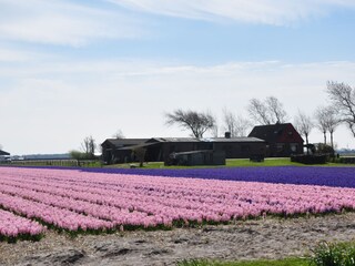 Casa per le vacanze Sint Maartenszee Ambiente 16