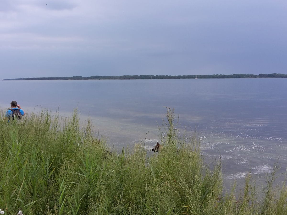 Wandern am Bodden