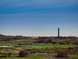 Ferienwohnung Norderney  8