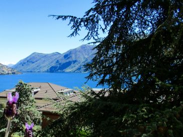 Ferienwohnung Residenz Seeblick Zentrum Lugano