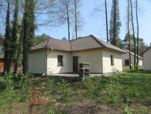 Ferienhaus B 5 direkt am Netzener See - Kloster Lehnin - image1