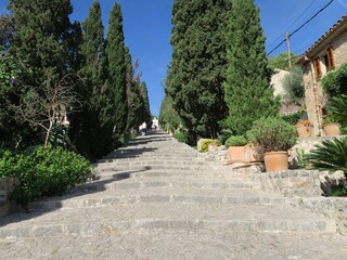 Calvari Steps