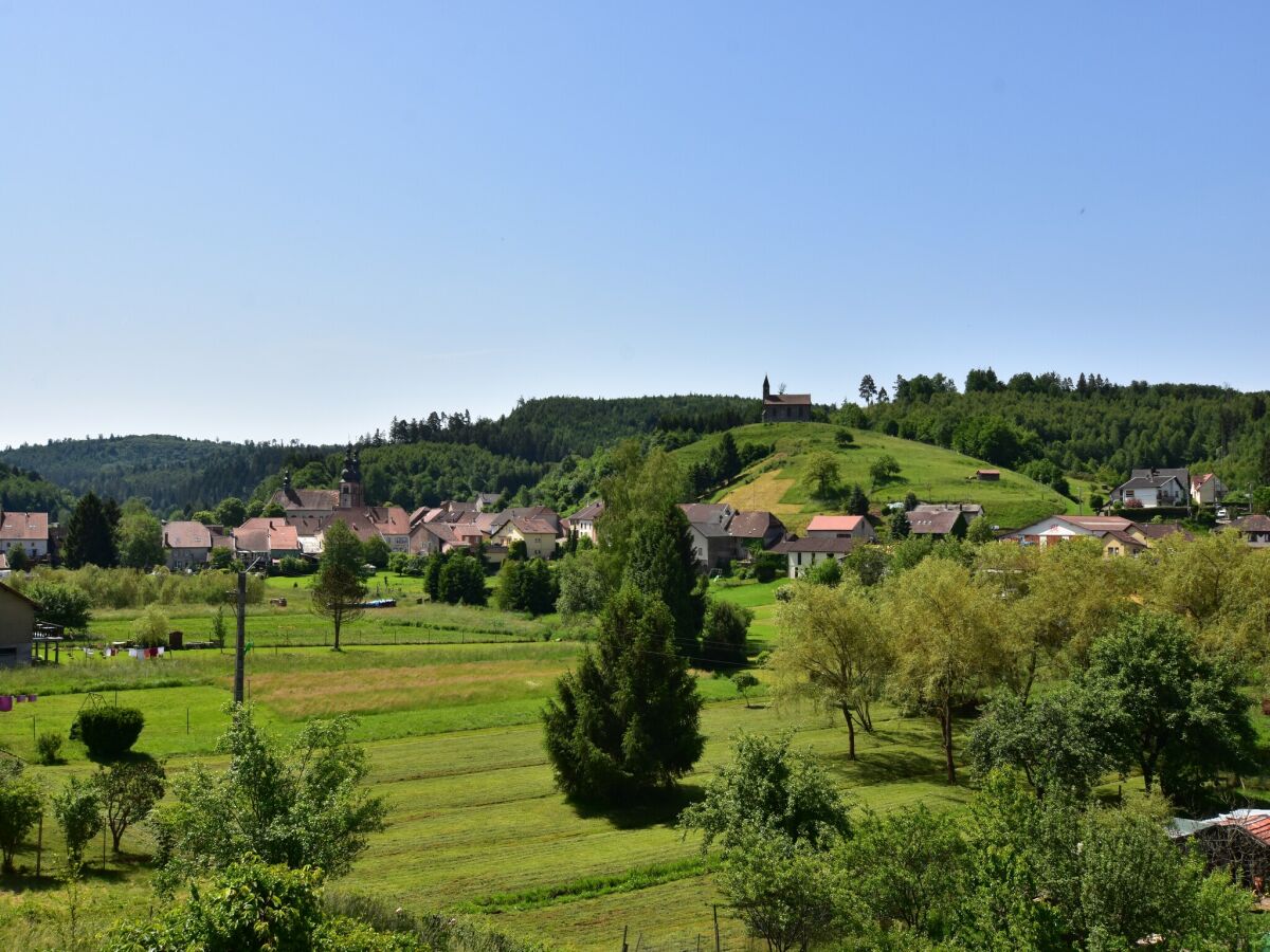 Ferienhaus Abreschviller Umgebung 63