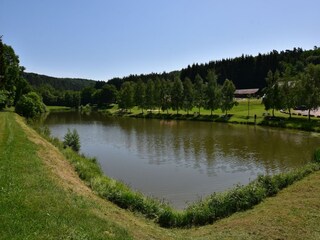 Ferienhaus Abreschviller Umgebung 57