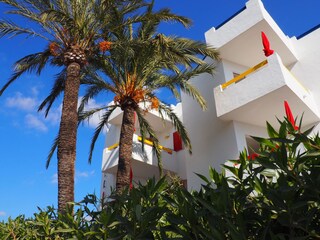 Apartamento de vacaciones Cala Millor Grabación al aire libre 7