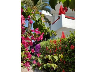 Apartamento de vacaciones Cala Millor Grabación al aire libre 7