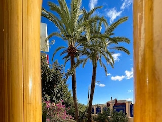 Vakantieappartement Cala Millor Omgeving 16