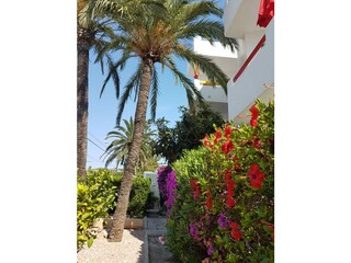 Apartamento de vacaciones Cala Millor Entorno 10