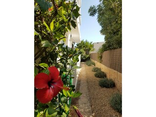Apartamento de vacaciones Cala Millor Entorno 11