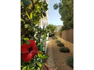 Vakantieappartement Cala Millor Omgeving 11