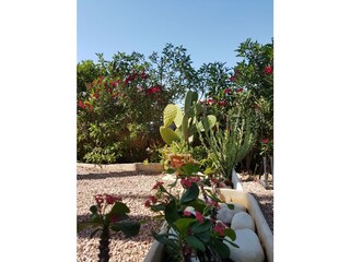 Apartamento de vacaciones Cala Millor Entorno 12