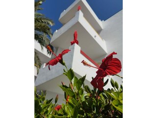 Appartamento per vacanze Cala Millor Ambiente 13