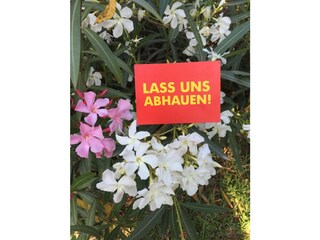 Appartamento per vacanze Cala Millor Ambiente 33