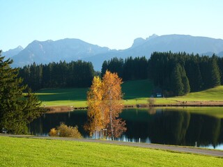 Attlesee