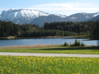 Kögelweiher