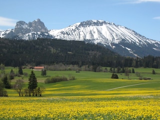 Blick auf Aggenstein und Breitenberg